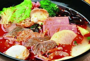 餐飲界哪些品類能把握市場旺季機遇